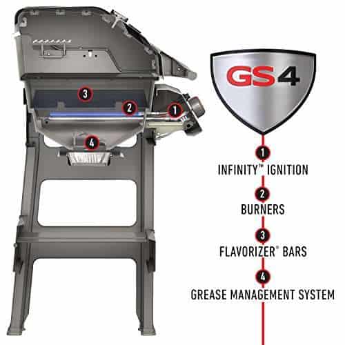 What Users are Saying About the Weber Spirit 2 E310