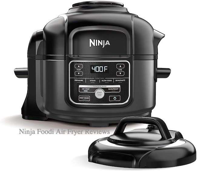 Ninja Foodi Air Fryer Reviews