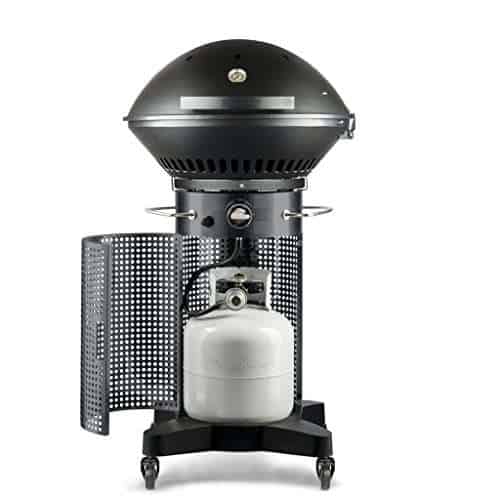 What Users Saying About the Fuego F24C Professional Propane Gas Grill