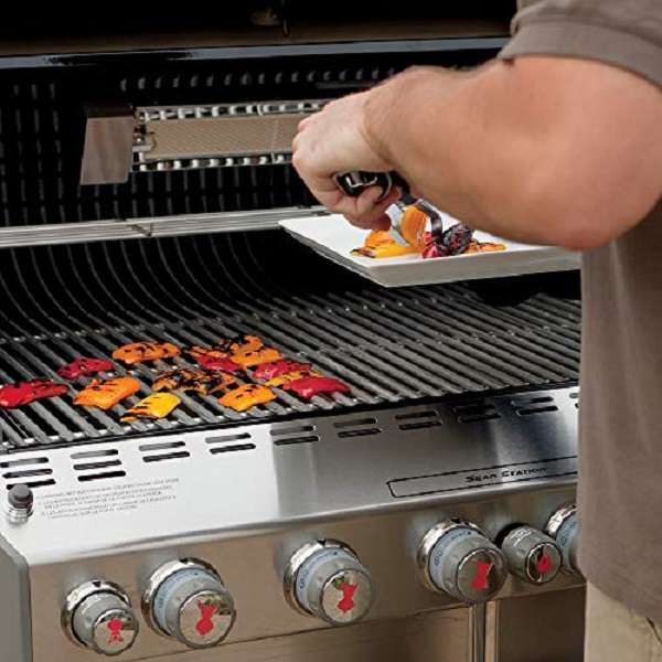 Weber Summit S 670 Review